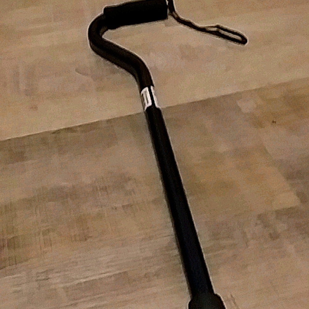 A cane